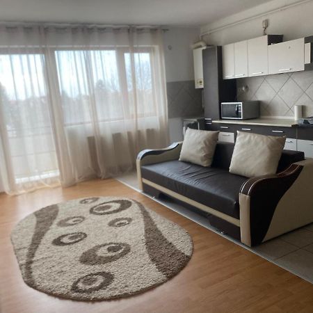 2Br Cosy Apart Satu Mare Luaran gambar